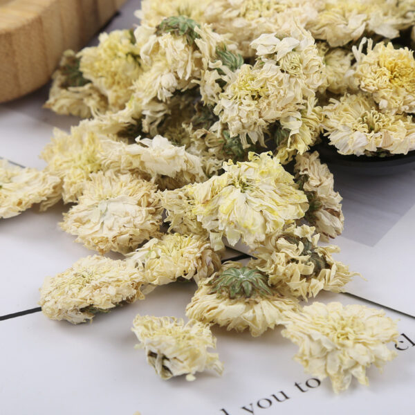 tribute chrysanthemum - Image 2