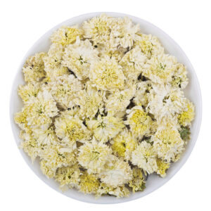 tribute chrysanthemum