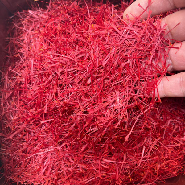 saffron (Crocus sativus) - Image 4